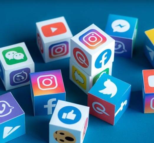 NS任天堂Switch普通家庭会员一年